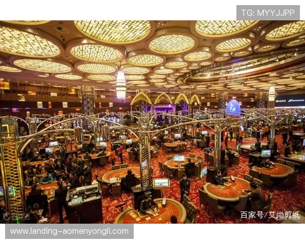 澳门赌场网站安全合规运营的重要性及其对行业健康发展的积极影响